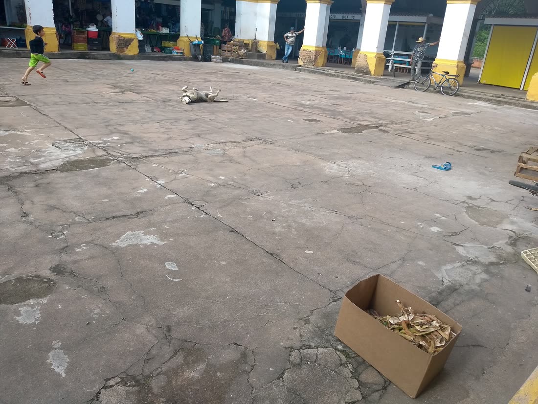Mercado Municipal de São Luiz do Paraitinga